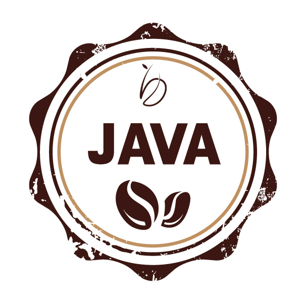 Robusta Java