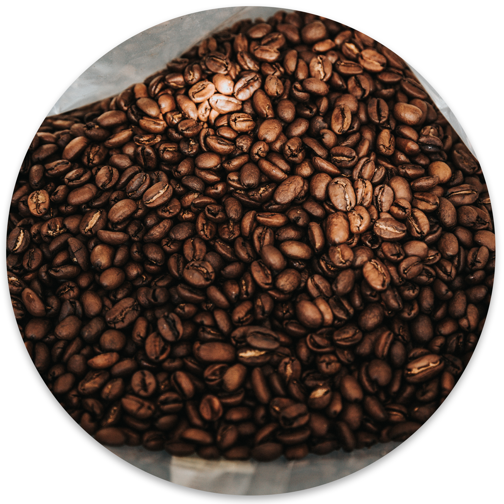 website.Fermentation of coffee seeds